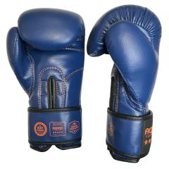 Osta Fighter Forever EVO Lasten nyrkkeilyhanskat Thainyrkkeilykaupasta